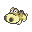 Hippopotas